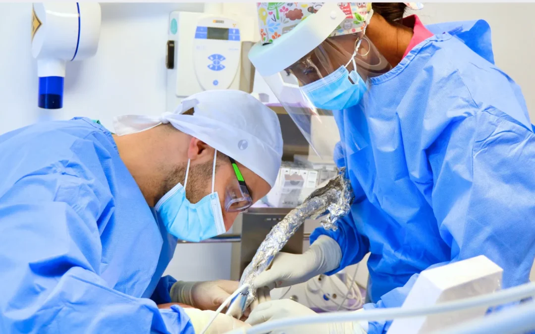 Dal primo appuntamento all’ultimo controllo: cosa succede davvero quando metti un impianto dentale